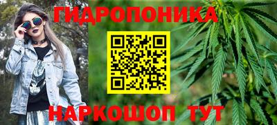 гидра Гатчина