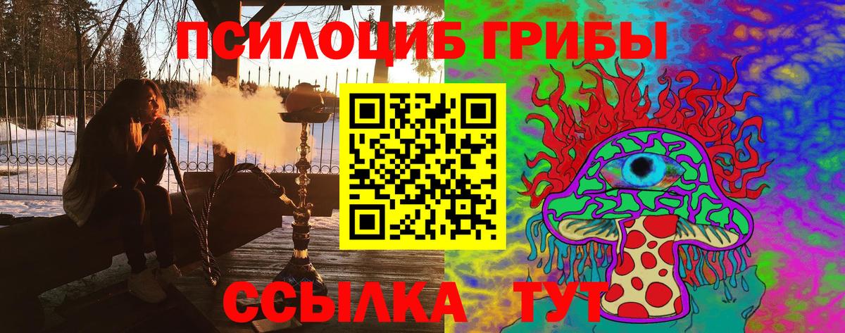 Галлюциногенные грибы прущие грибы  Псилоцибиновые грибы Psilocybine cubensis  Белогорск  Вход с VPN 